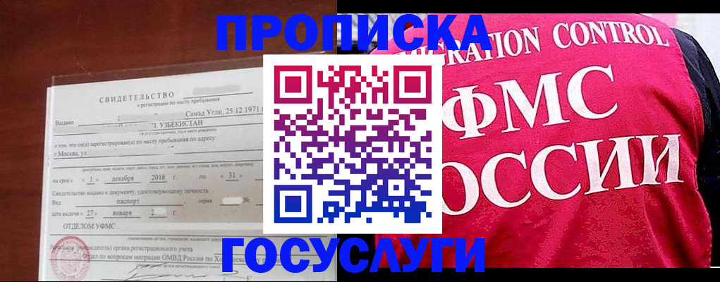 временная регистрация поиск в Амурской области